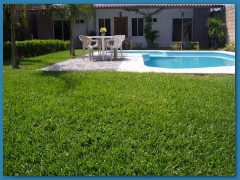 Casa Color AlegrÃ­a