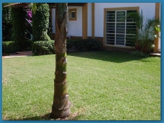 Casa Color IlusiÃ³n
